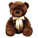 Pelúcia de Urso Marrom G