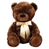 Pelúcia de Urso Marrom G